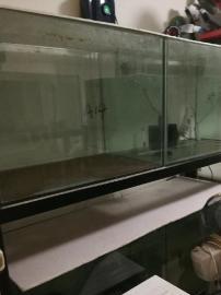 天津魚友福利 閑置魚缸組缸清倉，助力寵物食品用品升級