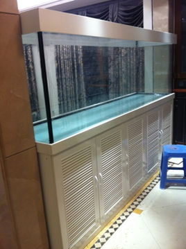 金晶水族用品廠 從圖紙到杰作——現場制作魚缸全記錄