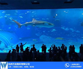 杭州大型亞克力魚缸設(shè)計(jì)公司及廠家推薦 全景展示，打造水中藝術(shù)