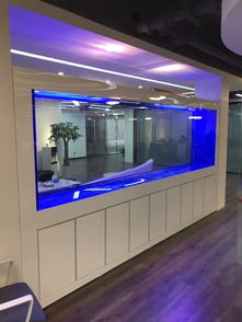 上海花鳥魚蟲魚缸市場 一站式選購觀賞魚與水族用品